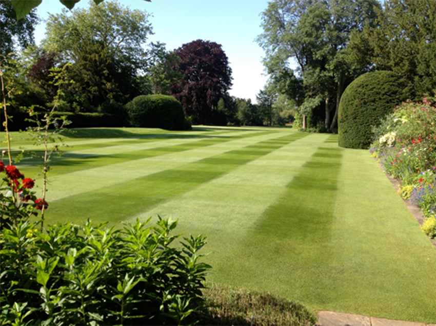 LawnAssociation's tweet photo. A BIG lawn loving THANK YOU to @TurfMatters for the SHOUT out about our brand new #LawnAssocation!
Come on in, join up and enjoy the lawn care knowledge!
https://t.co/MRfByAkDKy https://t.co/3zdUgvzfyv