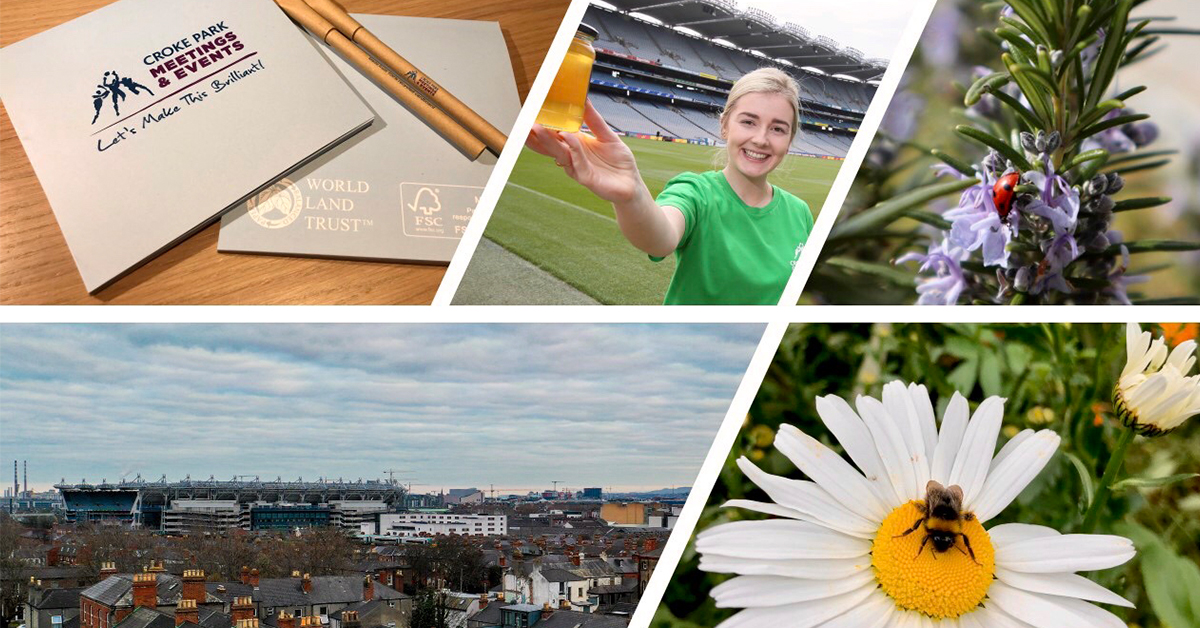Our #sustainability journey started over a decade ago and we’ve finally captured key milestones in a new eBook. Check out how we manage the impact of our events here crokepark.ie/meetings-event…