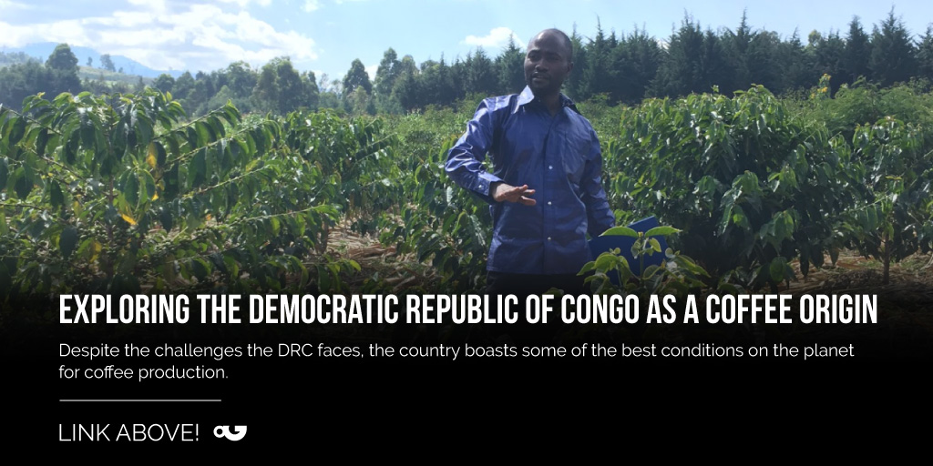 PerfectDailyG's tweet photo. Since 2010, co-operatives have formed across the DRC, some of which have been funded by international NGOs and state development agencies. 👉 https://t.co/W3yyRu3e5M
@highergroundstc https://t.co/h30LGeNlfv