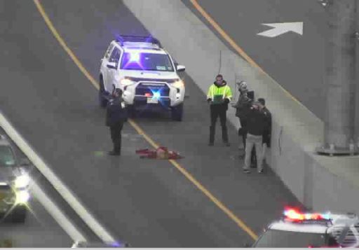 1010stewart's tweet photo. #SI...EB #StatenIslandExpressway near #WoolleyAvenue accident HOV lane blocked. Looks like a deer got hit.  Delays are back onto #Route440. @WINSTRAFFICNYC @1010WINS @NYC_DOT https://t.co/l4AeeTVUUL