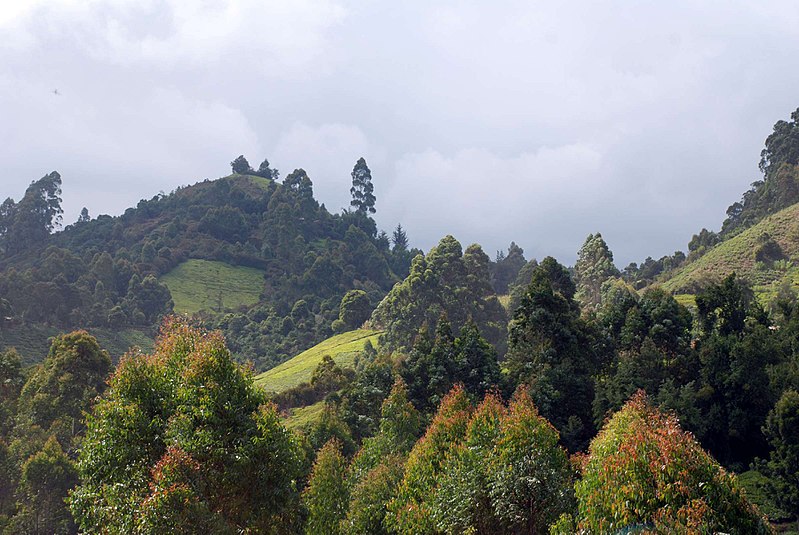 MajimajiKenya's tweet photo. Did you know Muranga was known as Fort Hall before independence

#History
#Leadership
#Kenya
#Africa https://t.co/izKDxU9iAu