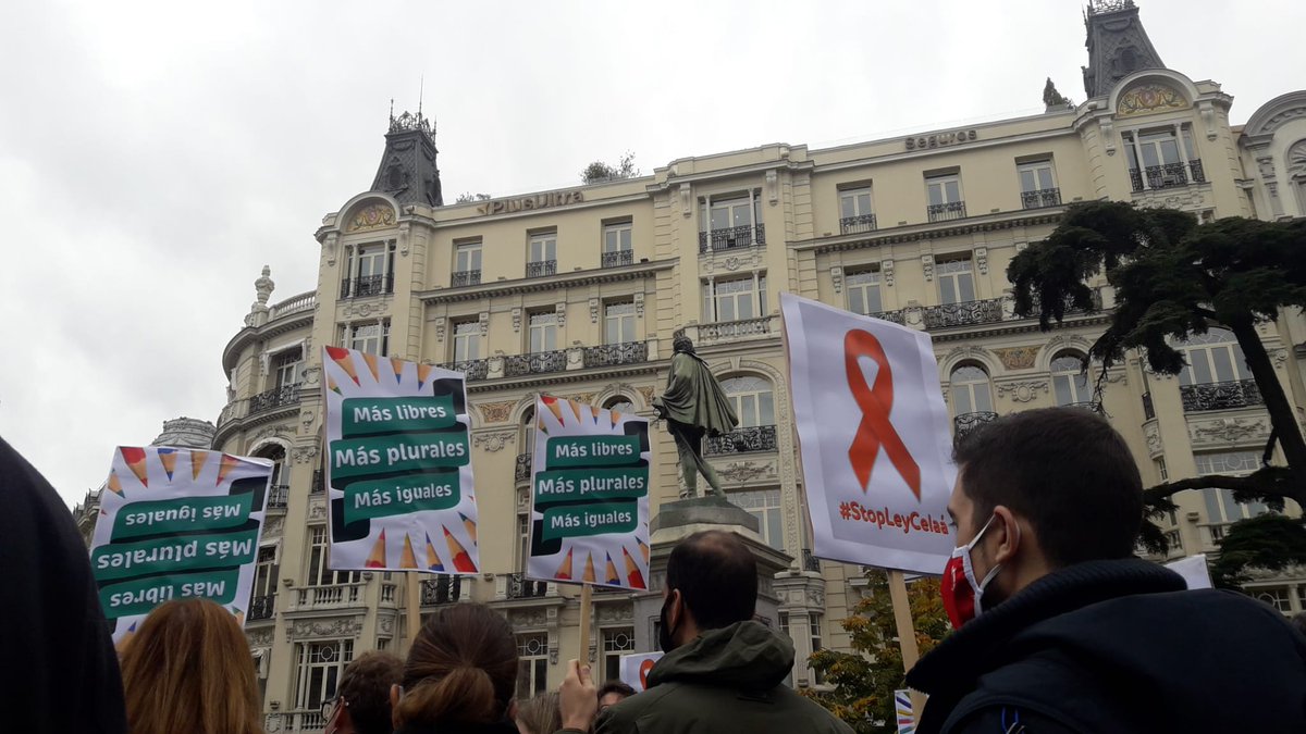 Concentración frente al Congreso contra la Ley Celaá en defensa de la pluralidad, la libertad y la igualdad #Masplurales #StopLeyCelaá