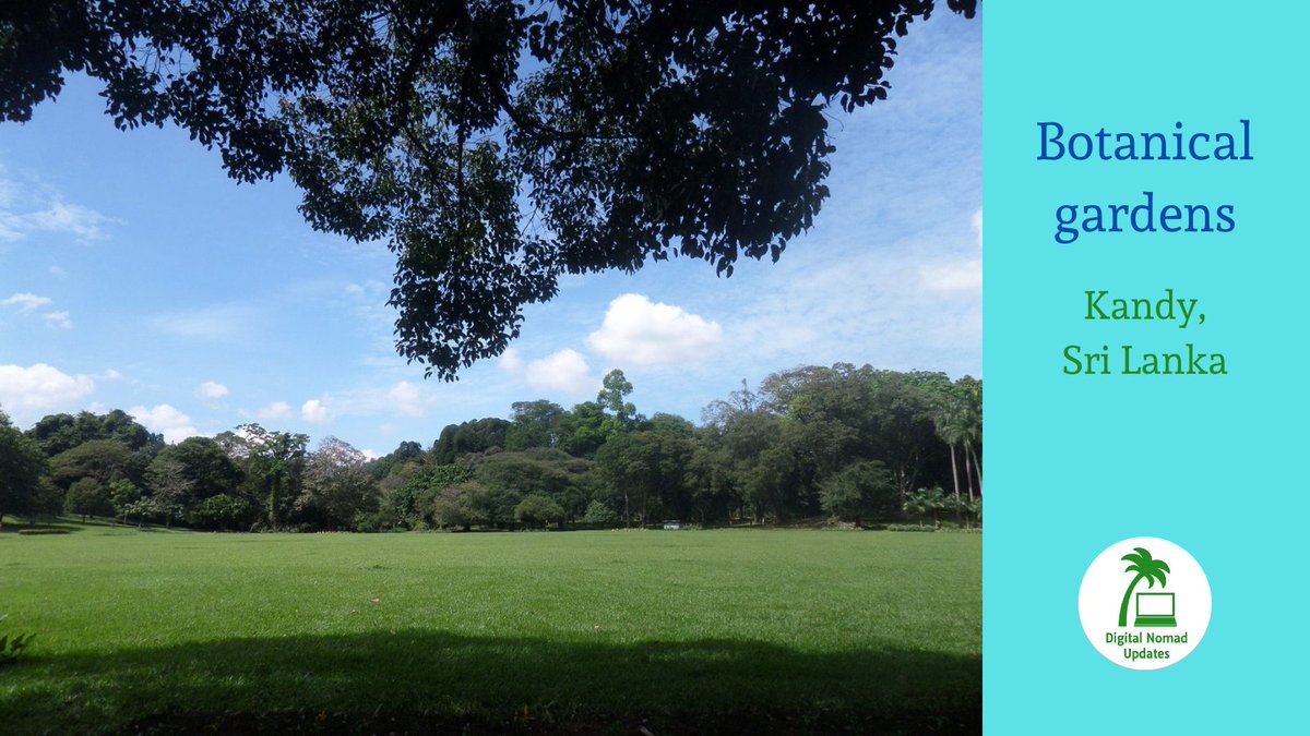 NomadUpdates's tweet photo. A gorgeous park just outside Kandy in Sri Lanka. Learn more about it here: https://t.co/O0gvfM4UFQ #SriLanka #botanical #Kandy https://t.co/rtOGulbBiA