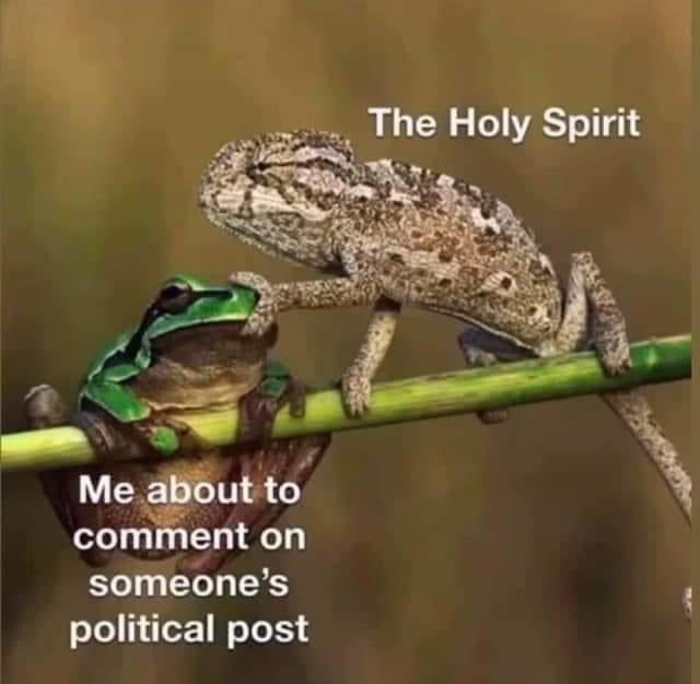 MichaelCatt's tweet photo. Best picture I’ve seen in a while. Wisdom! https://t.co/FIZhoyepY6
