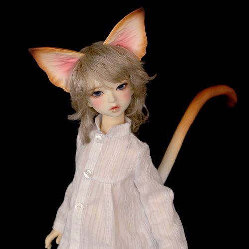 PIPOSDOLL's tweet photo. #pipos #option_parts #Re-release #cat_ear https://t.co/AIg7Wj530q