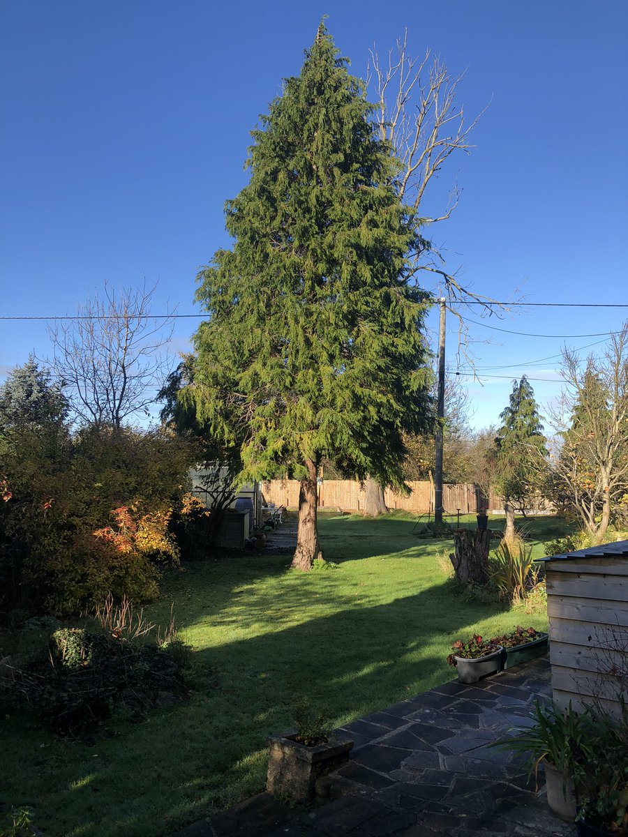 CathrynHage's tweet photo. Finding a bit of calm once again in nature #garden winter #veg #plants on order #bluesky #freshair @TheMontyDon #lavendar #faveflower https://t.co/VVUCvqnokY