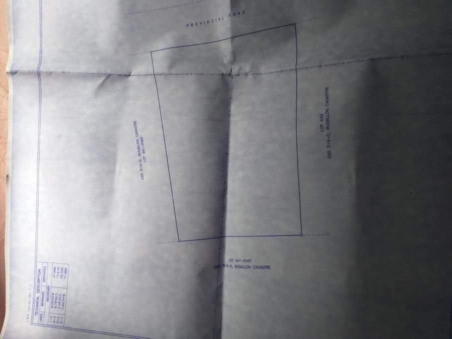 ChubiboTv's tweet photo. 3,726 vacant lot in umanday bugallon pangasinan...along national road umanday mangatarem road 2,500 per sqm 40meters frontage..ideal.for gas station or warehouse

Call me:: 09564125042 https://t.co/BTN5Zgix6f