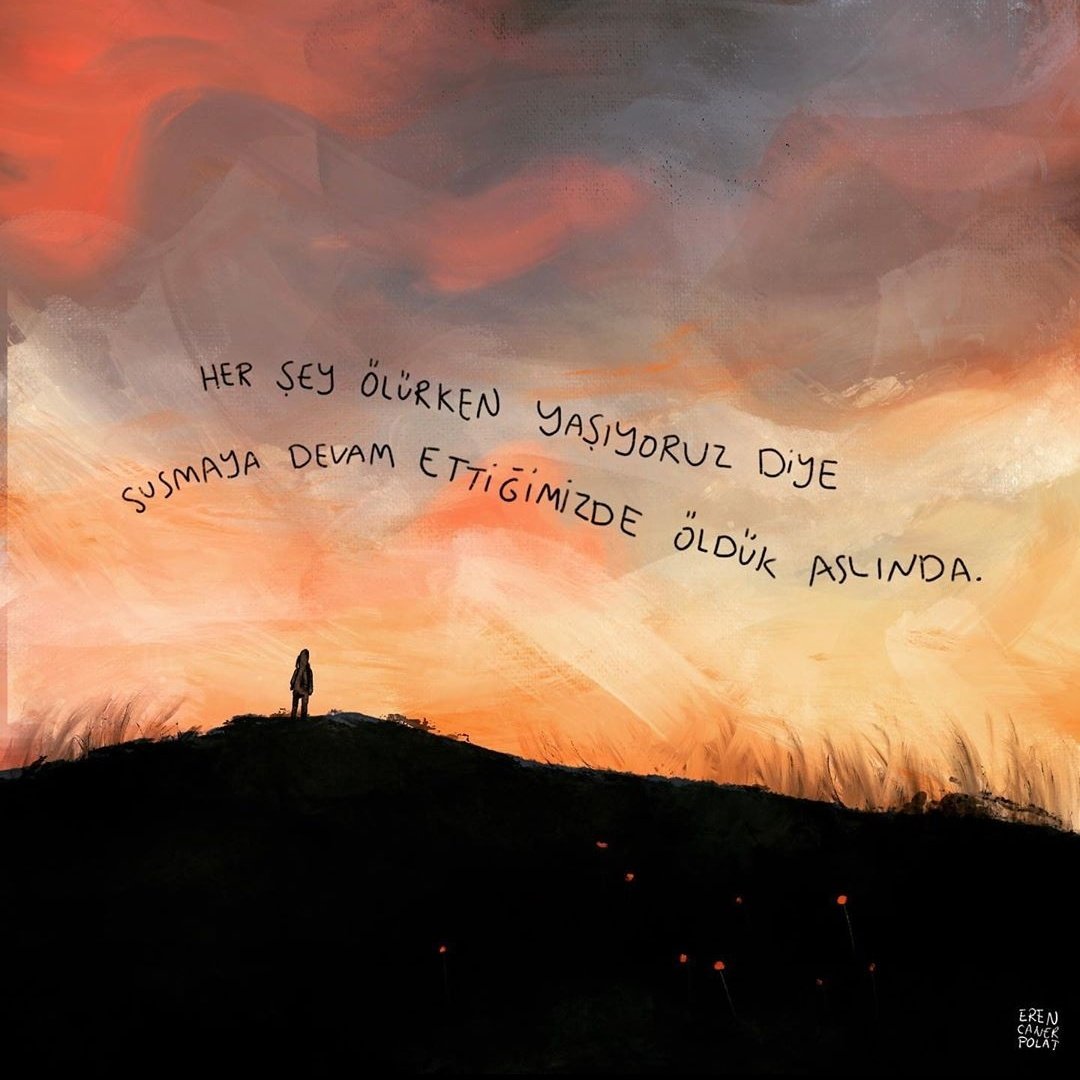 Via Ig erencanerpolat