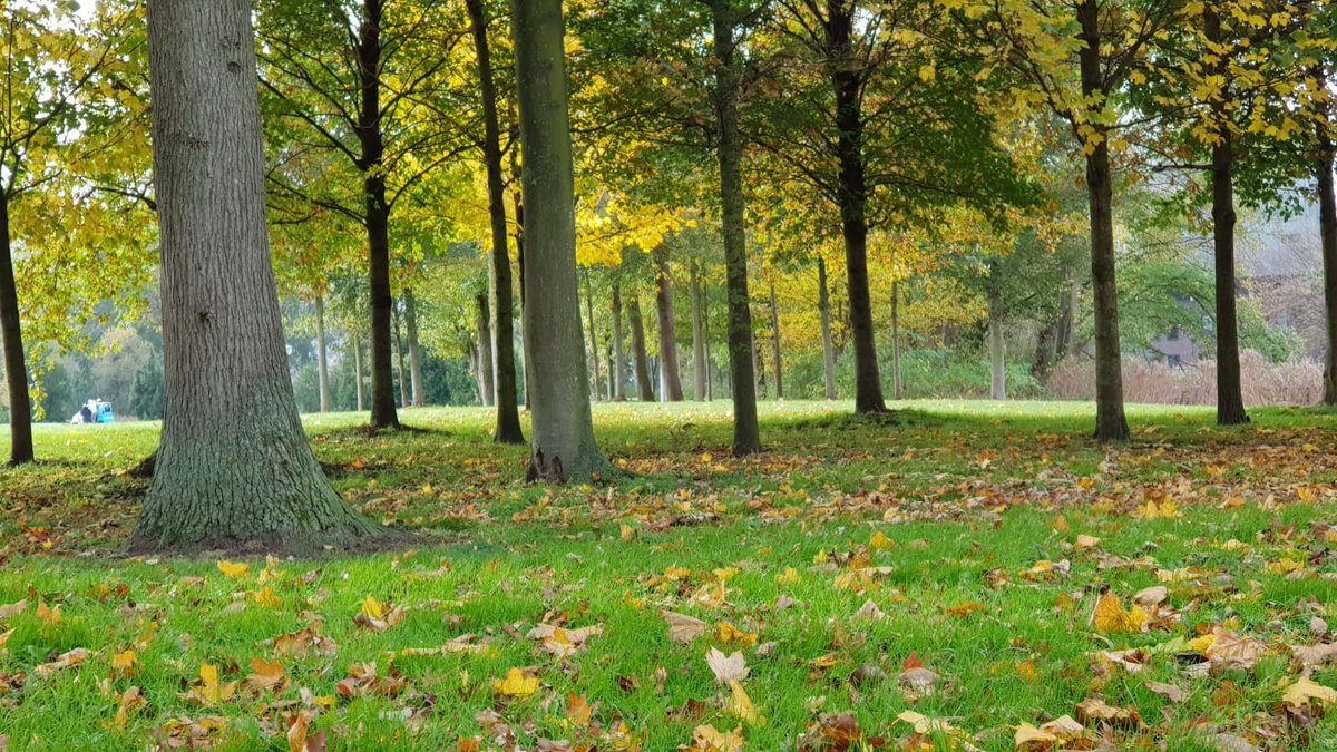 RoseNenita's tweet photo. Frisse neus gehaald in het #MandelaPark. Straks weer door met de bespreking #Begroting 2021 #Gemeenteraad #pvda. Het blijft raar en onwennig om dat online vanaf thuis te doen. Complimenten aan de Griffie die dat wel allemaal prima voor ons organiseert. https://t.co/BidvHWyUqJ