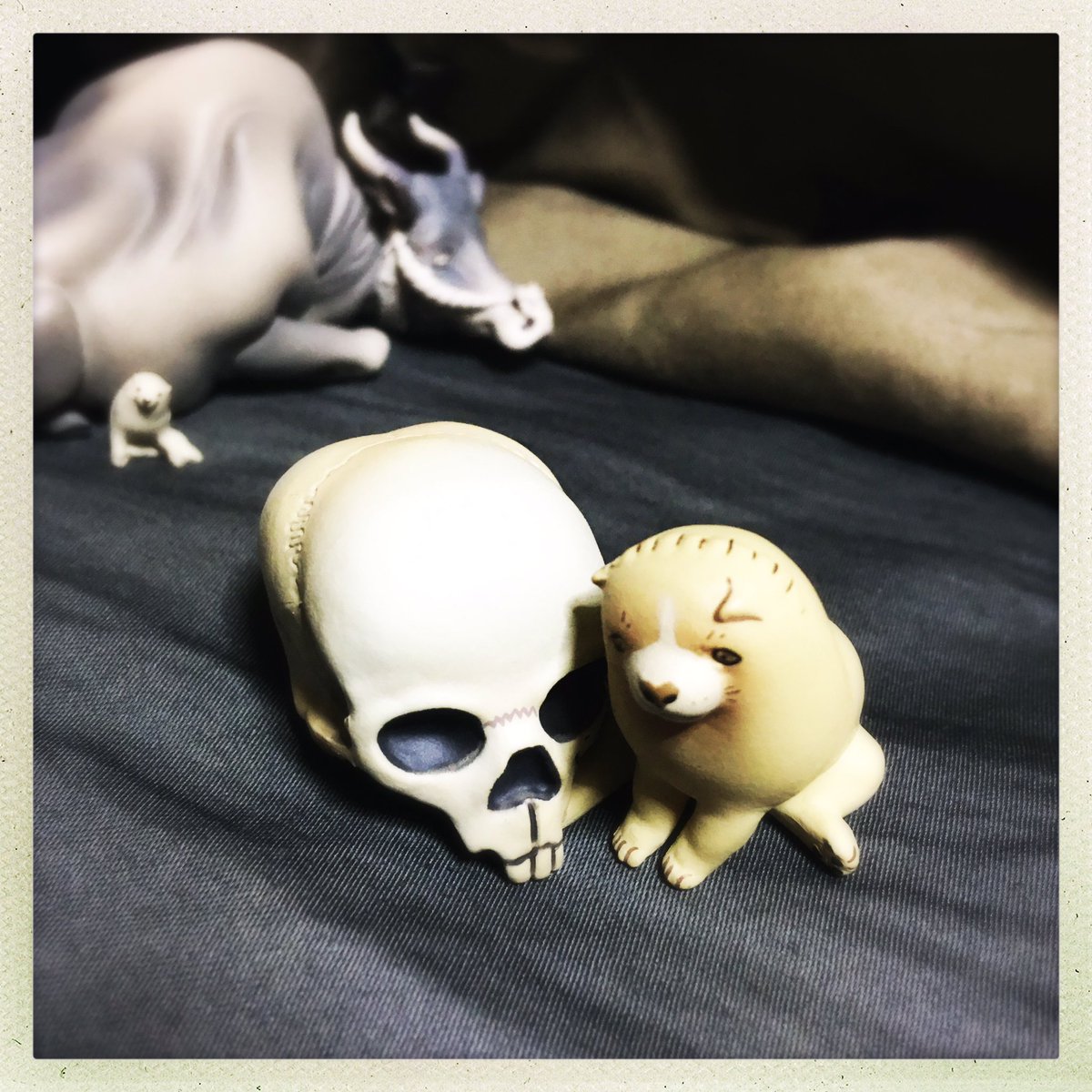 デュール さっきモジュラーにも乗っけてたけど長沢芦雪のガチャ 欲しかった髑髏犬が出たので嬉しかったです もう一個の犬は泣く泣く諦めました