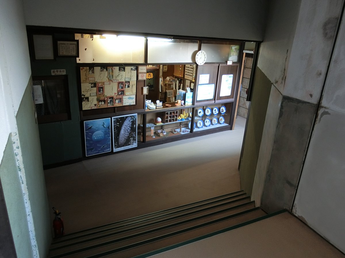 元島根県民のトリ Auf Twitter 川棚温泉の寿旅館という宿にお世話になりました 窓の外には遠く日本海が見えます 部屋に入った途端 隣のお寺の6時の鐘がゴーンと鳴り響き あまりの風情に泣きそうになりました 男はつらいよ の世界です