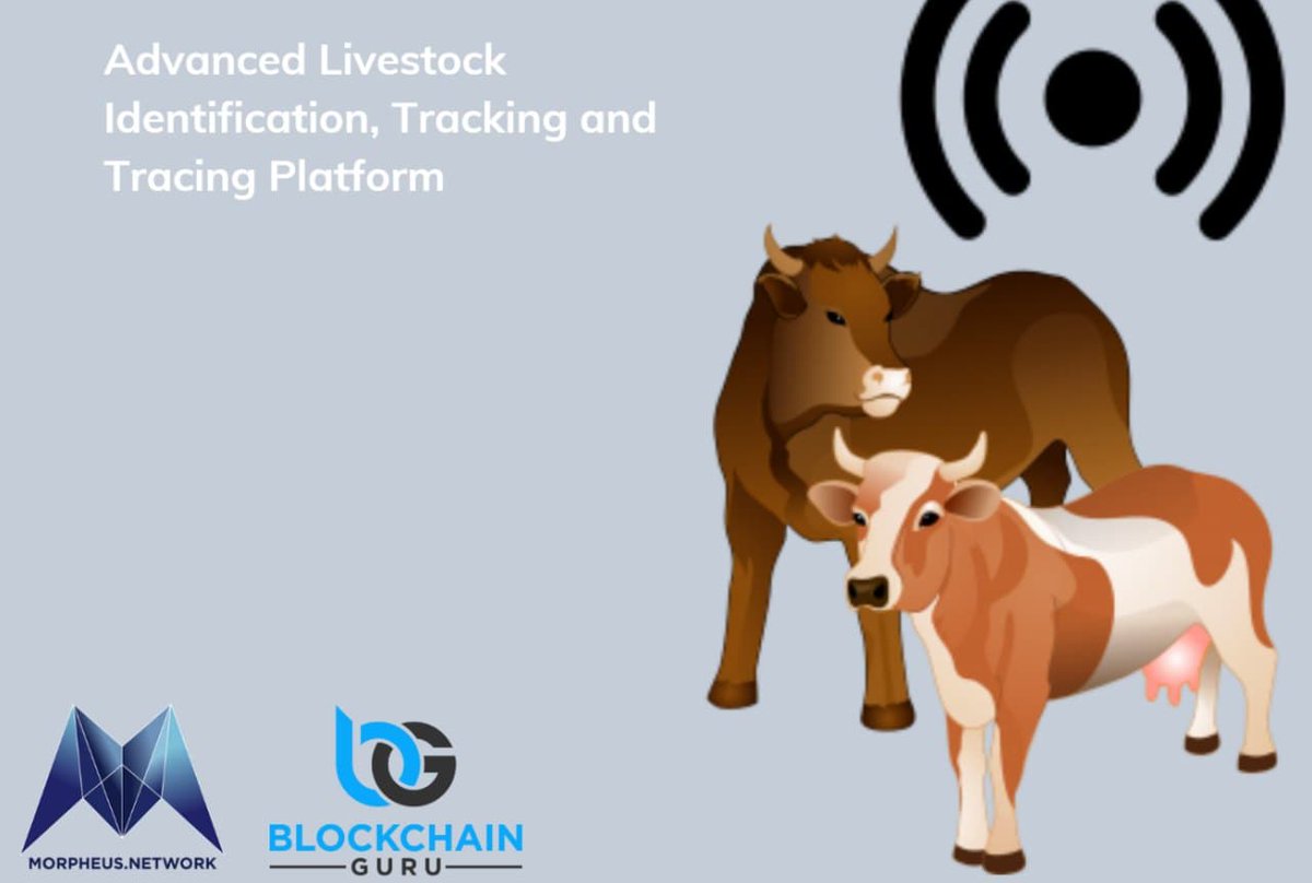  https://img1.wsimg.com/blobby/go/b8d24ea9-f8b9-466c-a8d2-8ea4f9ea3153/THE%20LIVESTOCK%20TRACEABILITY%20SYSTEM_1%20(1).pdf