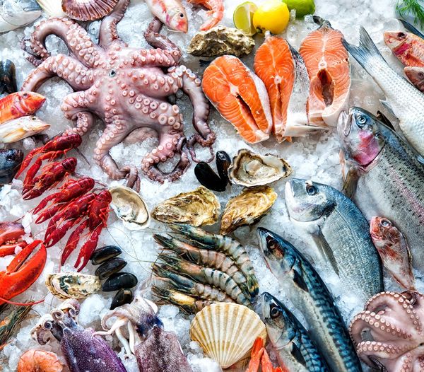 Let's talk #Protein. #Seafood may be #humanity’s most important food, after cereals, furnishing about 15 percent of the world population’s protein intake. thompsonsseafood.co.uk
#tottenham #london #seafood #fish #shellfish #omega3 #healthy #fresh #market #catchoftheday #fishfact