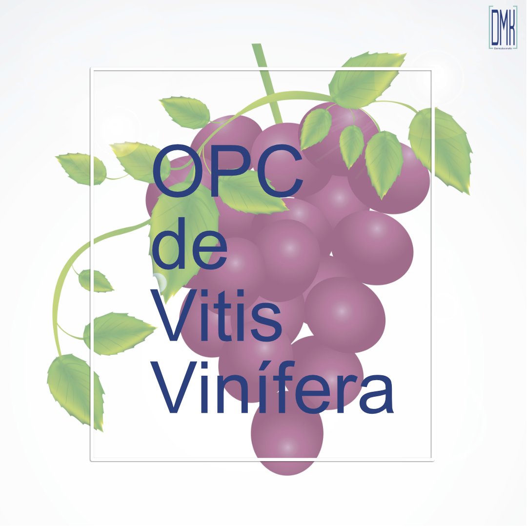 DDS_es's tweet photo. El OPC de Vitis Vinífera es el extracto seco purificado de la semilla de la uva y se obtiene de forma natural.
Diferentes estudios han demostrado que el OPC es un antioxidante muy superior a la vitamina C (20 veces) y a la vitamina E (50 veces).
https://t.co/Mid0fZvNCM https://t.co/8VgVjK3PSt