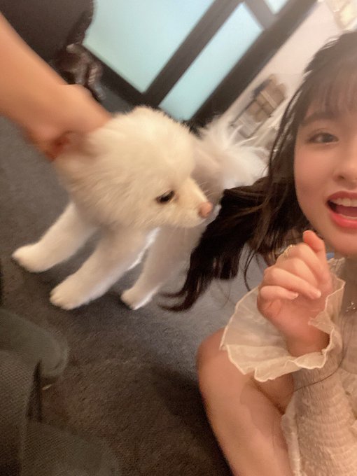 りりのTwitter画像13