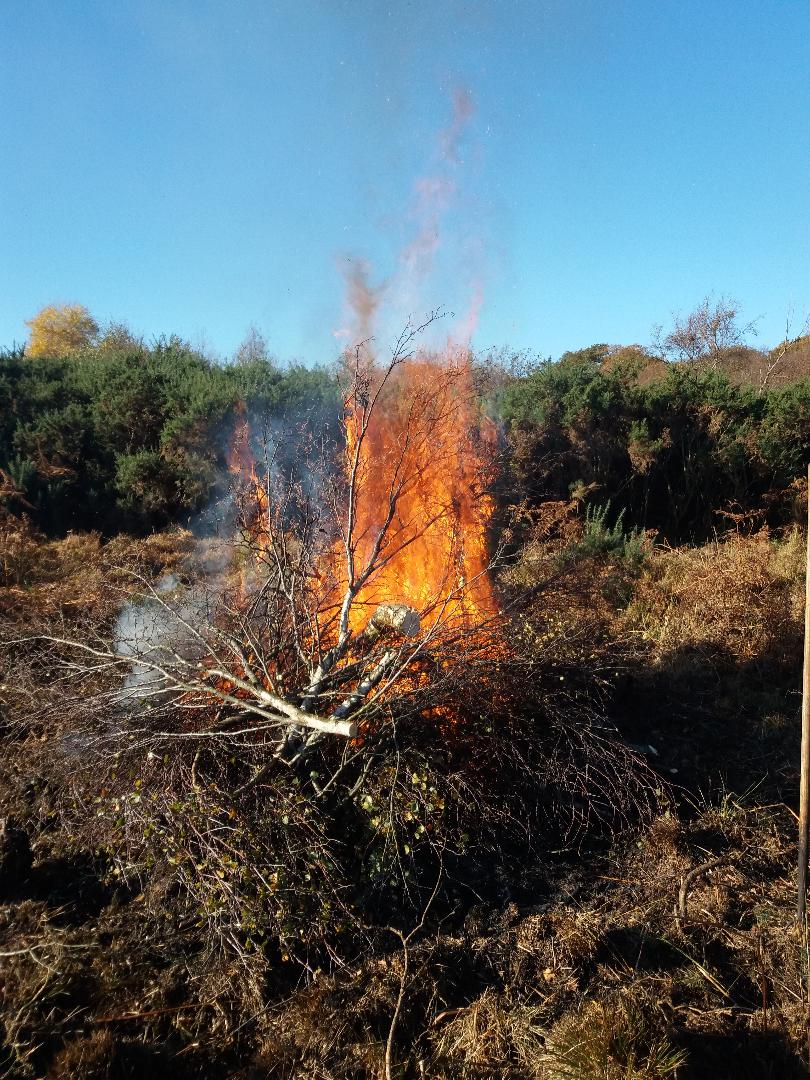 No bonfire tonight? Have a couple on us: #BonfireNight #BonfireNight2020 #Bonfire
