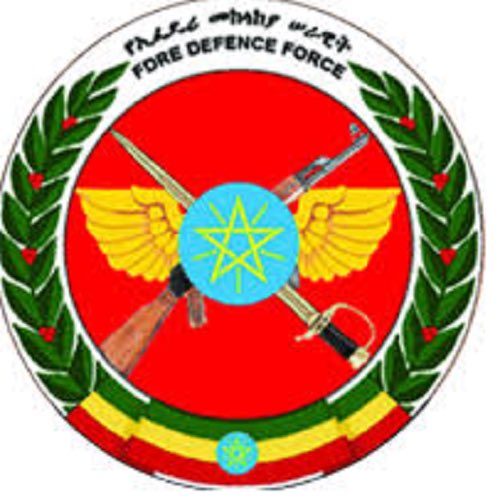 Army Made a Sharp Riposte against Defiant TPLF Attack: ENDF  http://ena.et/en/?p=18195&nbsp; via  @EthiopianNewsA agency
