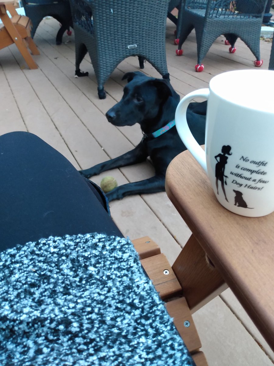 msmoffat7's tweet photo. We're enjoying the nice morning weather while it lasts 🥰 https://t.co/rFMaSssN4T