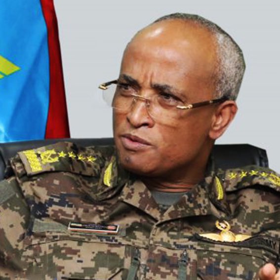 A task force to implement the state of emergency in Tigray and accountable to the Prime Minister is established. The task force is led by the Chief-of-Staff of the Defense Forces, General Adem Mohammad.