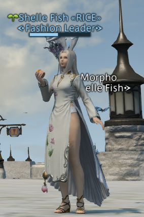 XIV_Names's tweet photo. #FFXIVScreenshots #FFXIV https://t.co/DctaKshxdD
