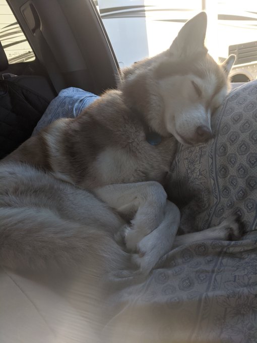 My loves enjoying the adventure https://t.co/GBfA1oJW21