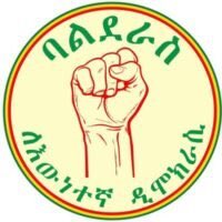 Ethiopia’s major opposition political parties, National Movement of Amhara, Balderas for True Democracy, Tigray Democratic Party, & Ethiopian Citizens for Social Justice expressed their full support to government’s action on TPLF, and cautioned the government to protect civilians