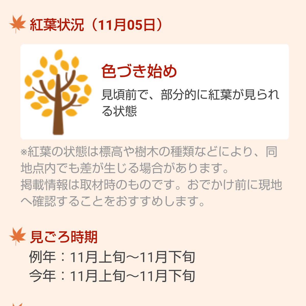 やこ 筑波山紅葉終わってるのー 色づき始め ってなるの待ってたのに ヤマレコ見てたらみんな落葉してるって言ってるぞ
