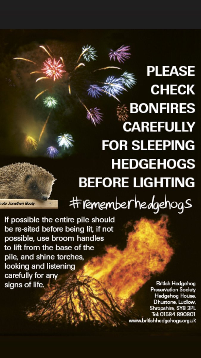 #rememberhedgehogs