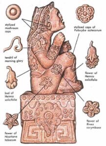 HenryQrugged's tweet photo. Just so you know Don’t worry about psilocybin being legal to treat PTSD and substance abuse is Oregon , Indigenous people of Oaxaca have only been doing it since before Real and White Jesus walked the earth- And is another fine example of #colonialexploitation #MariaSabina https://t.co/MpF4AbhnXH