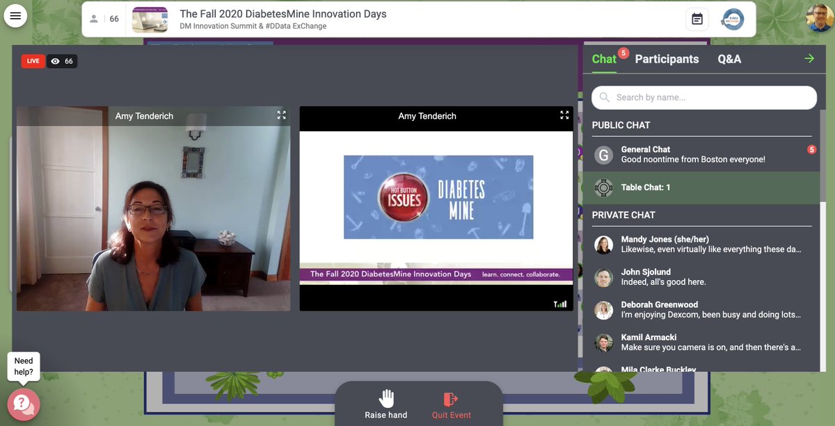 DiabetesMine's tweet image. And we're off, starting up for Thursday #dbminesummit &amp;amp; then #DData2020 for Friday. Intro from @AmyDBMine as we use the interactive Remo platform. -MH