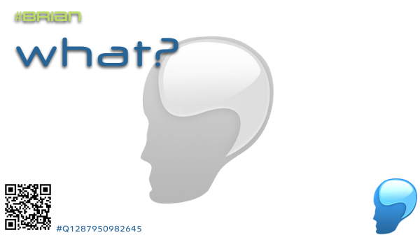 bleubrain's tweet photo. what? #Brian #BleuBrain #LetsCodeBrian #CodeBrian #Brian #TG93 #TheGame93 #Q1287950982645 https://t.co/B2uClJiRbm