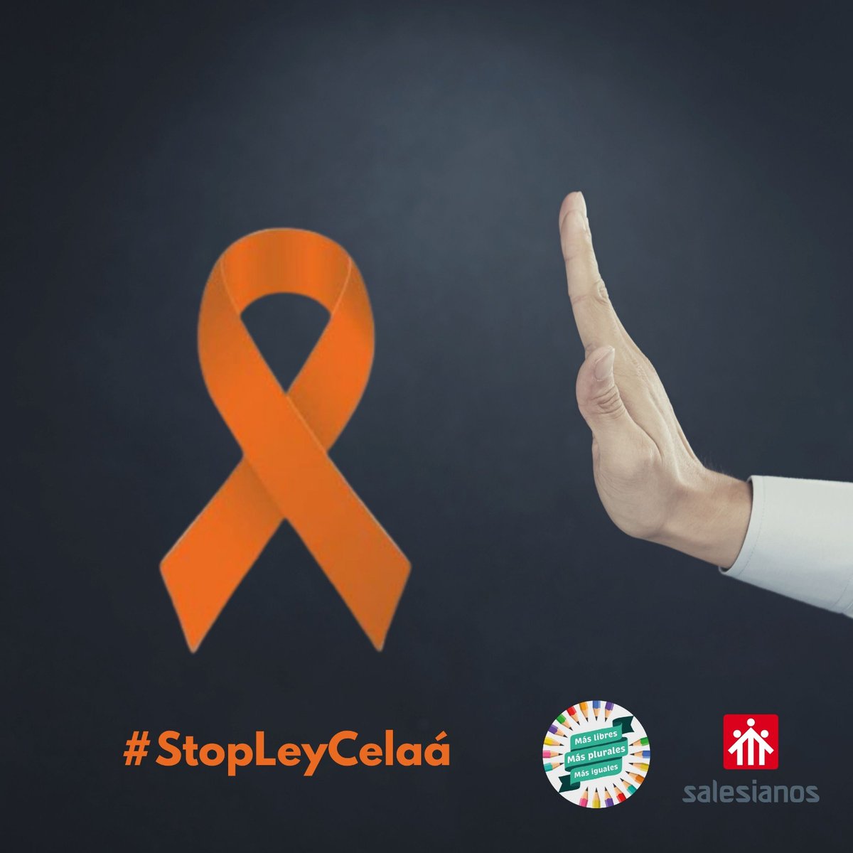 salescordoba's tweet photo. La #LOMLOE pone en serio riesgo la pluralidad del sistema educativo y por tanto la existencia de centros de redes complementarias como la #Concertada Más de 2.100.000 de alumnos tendrían que cambiar de colegio ¡NO lo permitas!  #StopLeyCelaá #MasPlurales https://t.co/RfSqFTxjic