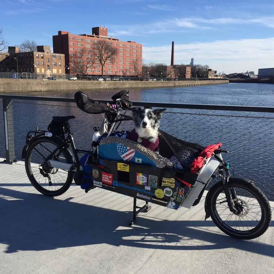 LenaGReynolds's tweet photo. @TheWarOnCars @Luke_Wanderer My partner runs their dog care business by e-cargo bike and is also a cargo bike specialist at @WheelSprocket. #Ebikes have changed our lives and freed us from Chicago traffic! #BikeChi @LilDudeBigBike https://t.co/Drc3vBQZqX