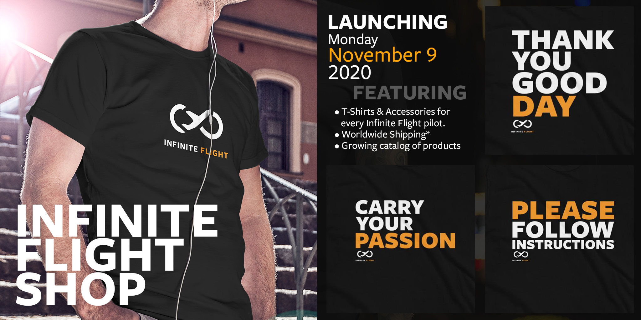 Infinite Flight  Carry Your Passion