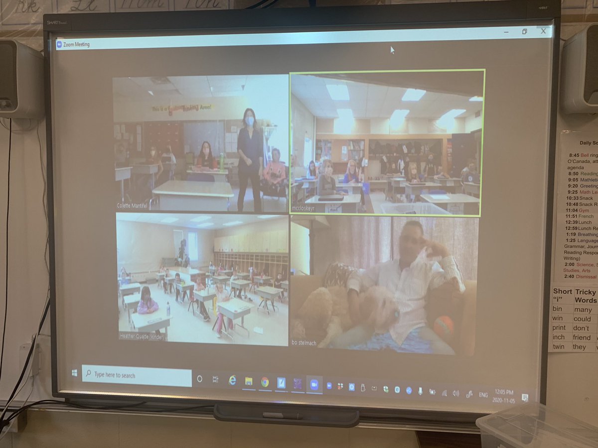 PalmerRapids_PS's tweet photo. Virtual therapy dog visits when you can’t have the real thing! Endless smiles! #PRPSRocks https://t.co/W1TJPx85s3
