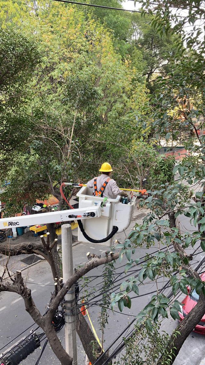 veropdla's tweet photo. @AlcCuauhtemocMx @RomaNorte3 @RomaCondsaQueja @SEDEMA_CDMX la @CFEmx poda arboles en Colima entre Monterrey y Medellín. Nos están dejando sin árboles ☹️. ¿Por que no mejor reordenan sus cables? https://t.co/KwWa0wJcsy