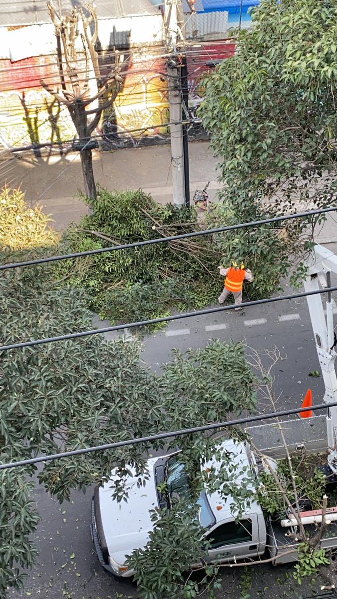 veropdla's tweet photo. @AlcCuauhtemocMx @RomaNorte3 @RomaCondsaQueja @SEDEMA_CDMX la @CFEmx poda arboles en Colima entre Monterrey y Medellín. Nos están dejando sin árboles ☹️. ¿Por que no mejor reordenan sus cables? https://t.co/KwWa0wJcsy