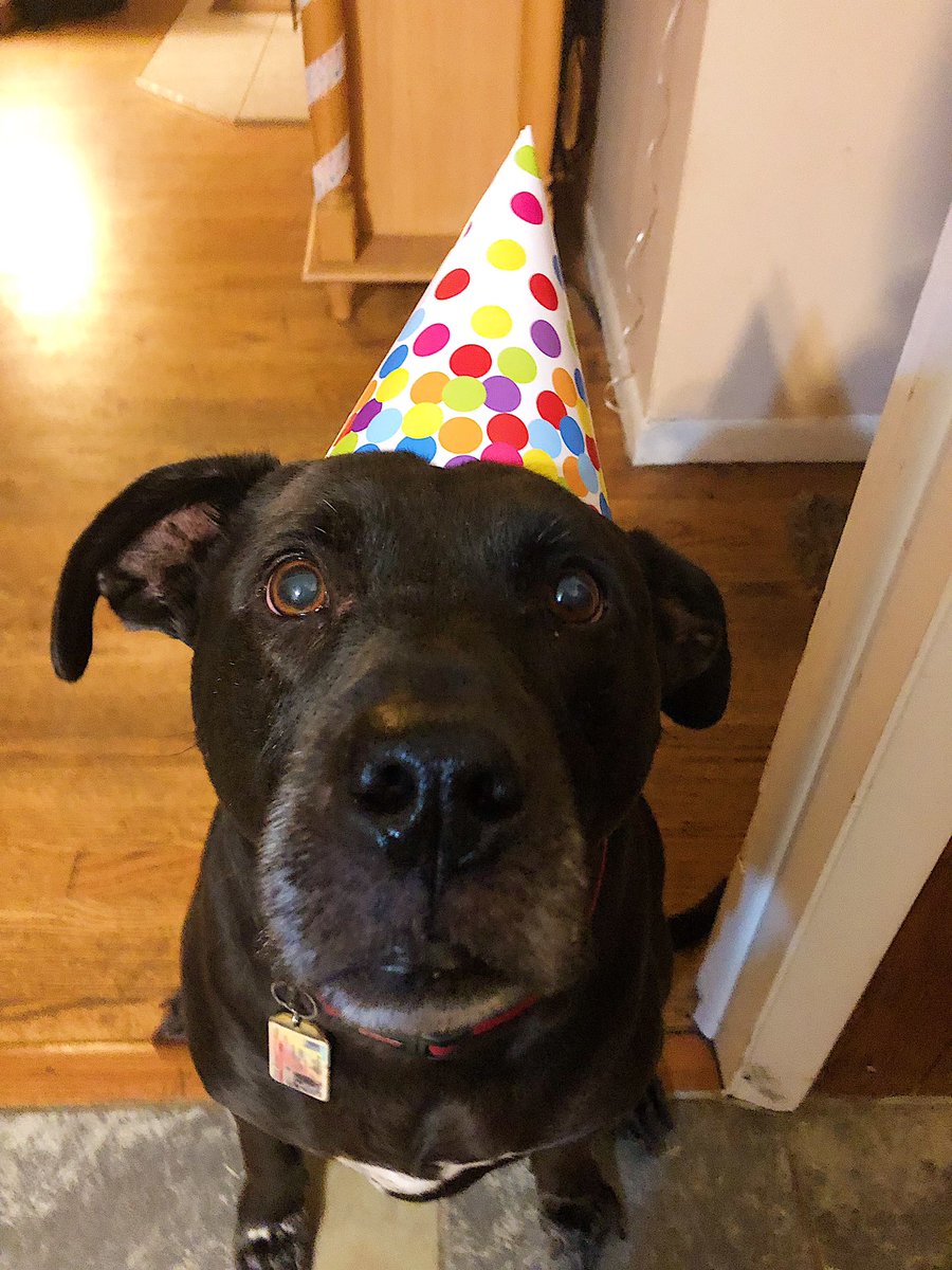 B1s0s's tweet photo. @JeffreeStar $aglinch05 this would help me with my dogs medical bills, he has bone cancer and im just trying to get him the help he needs 🥺♥️♥️ thank youbfornyour kindness -arianna and Cole 🐾 https://t.co/8jALlMIJl4