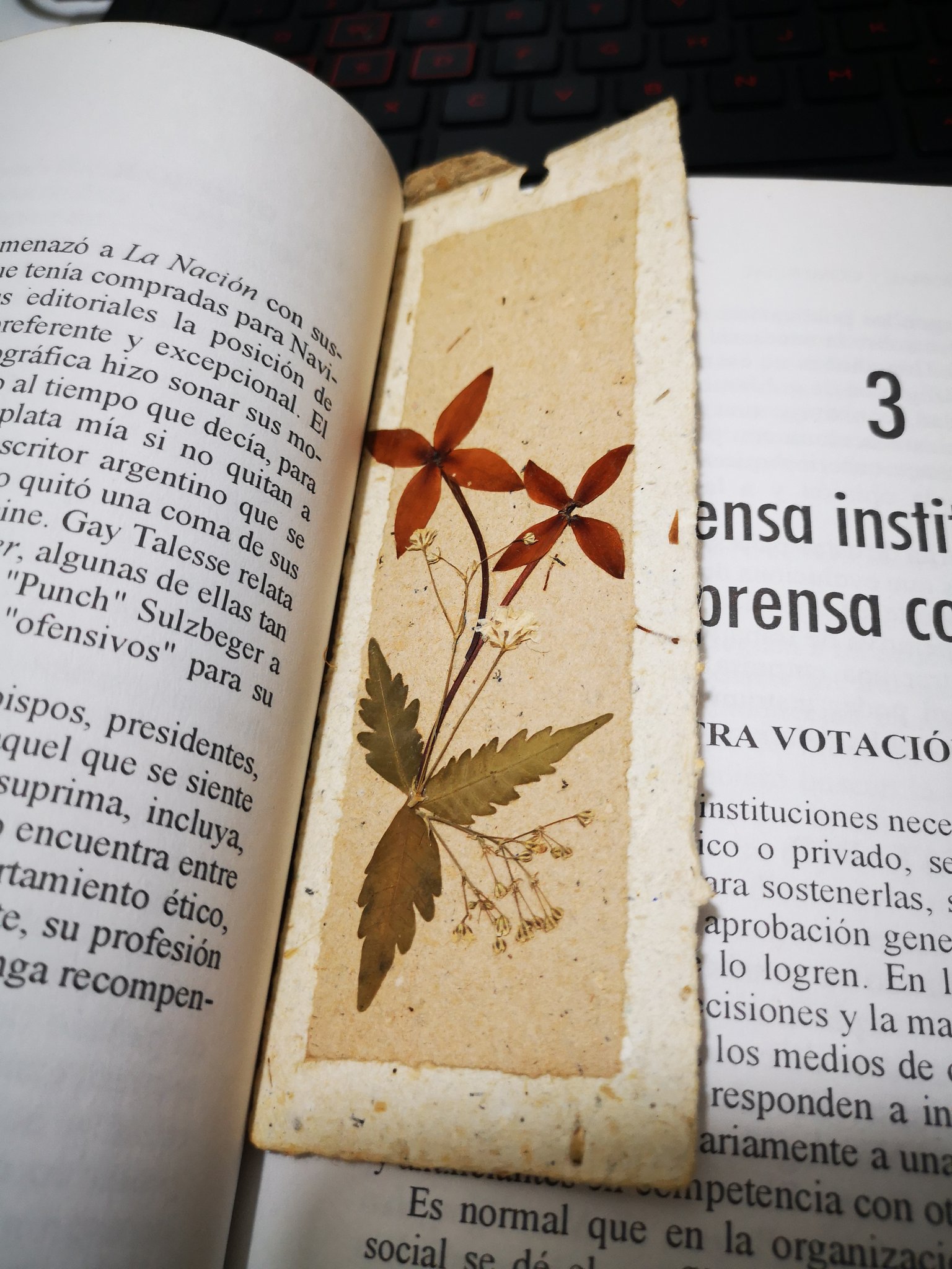 Separadores de libros ecológicos de Abedul