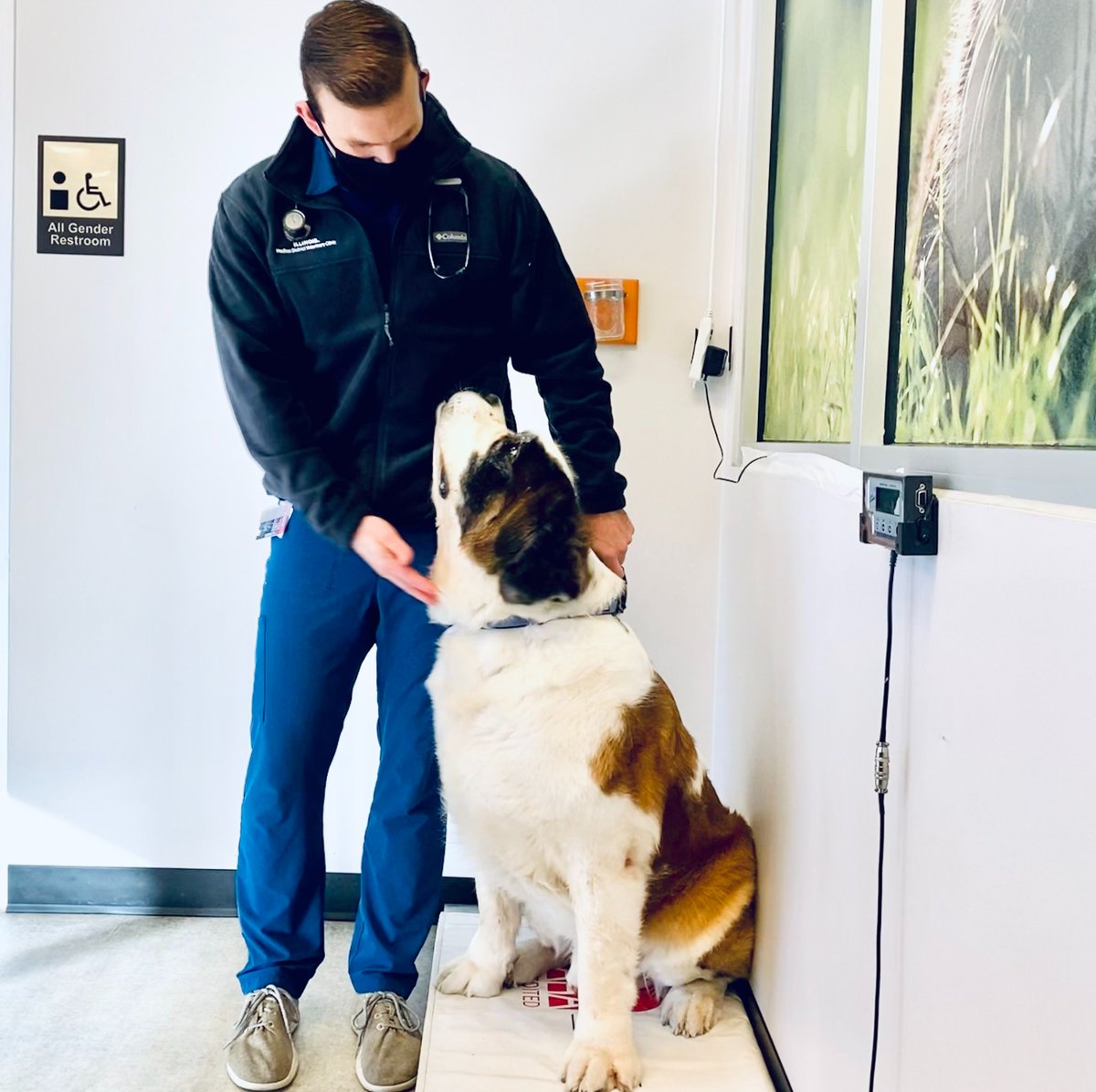 MedDistVetIL's tweet photo. Luka had a weigh-in for his dental with Dr. Sullivan -- 152 lbs of sweetness! π
#MedicalDistrictVetClinic #ChicagoVets #VetLife https://t.co/7EHC5lyWsq