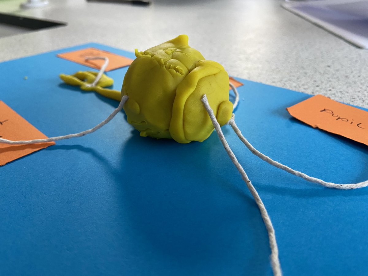 RBHSScience's tweet photo. Miss Poole’s Y9 class created models of the eye today! 👀 https://t.co/oYs8BLmmu7