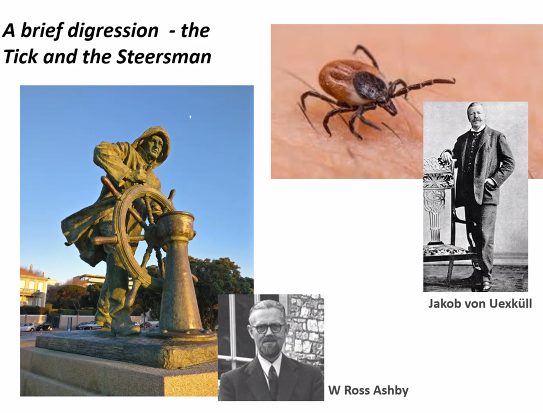 JesParent's tweet image. Love the classical cybernetics throwback W Ross Ashby and Uexkull mention in Paul Fletchers talk at @_XSPECT Day 2
#predictiveprocessing #EGRT #mediumisthemessage
cc @Orthogonal_Lab