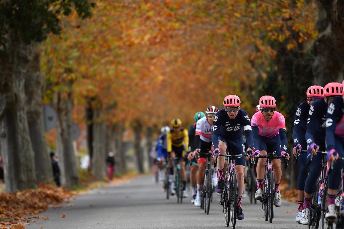 Logan Owen tweet media