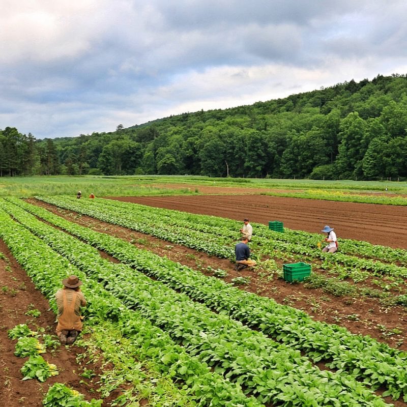 CollectCollapse's tweet image. mood board