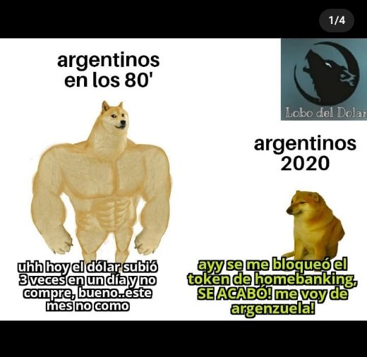 Lobodeldolar's tweet photo. #DolarBlue #dolarmeme #dolar #pesos #ArgentinaUnida #MemeDelDia #memesarg #pesos #CrisisEnNacional #humormananero #dolares #confinamientodomiciliario https://t.co/RfB61wSWi0