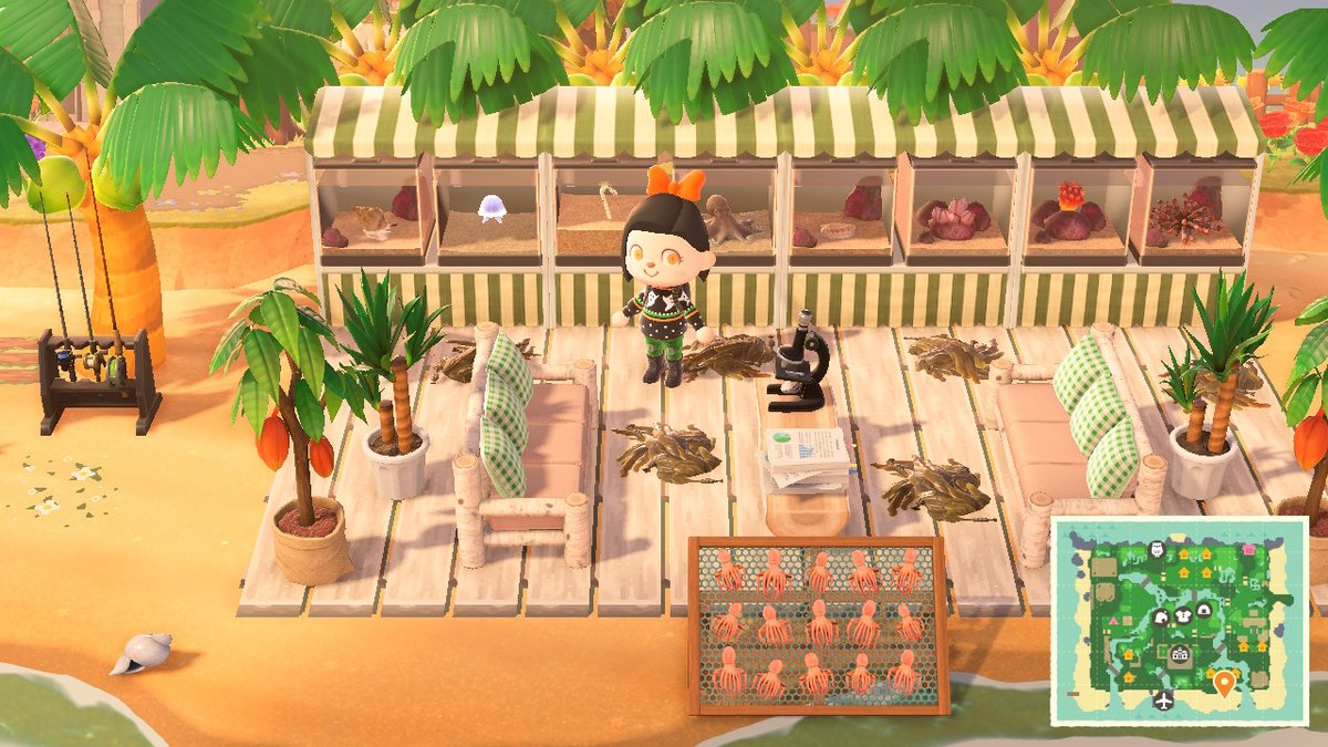 Ana_dice_'s tweet photo. #AnimalCrossing #ACNH #NintendoSwitch https://t.co/yEm1eoF3ft