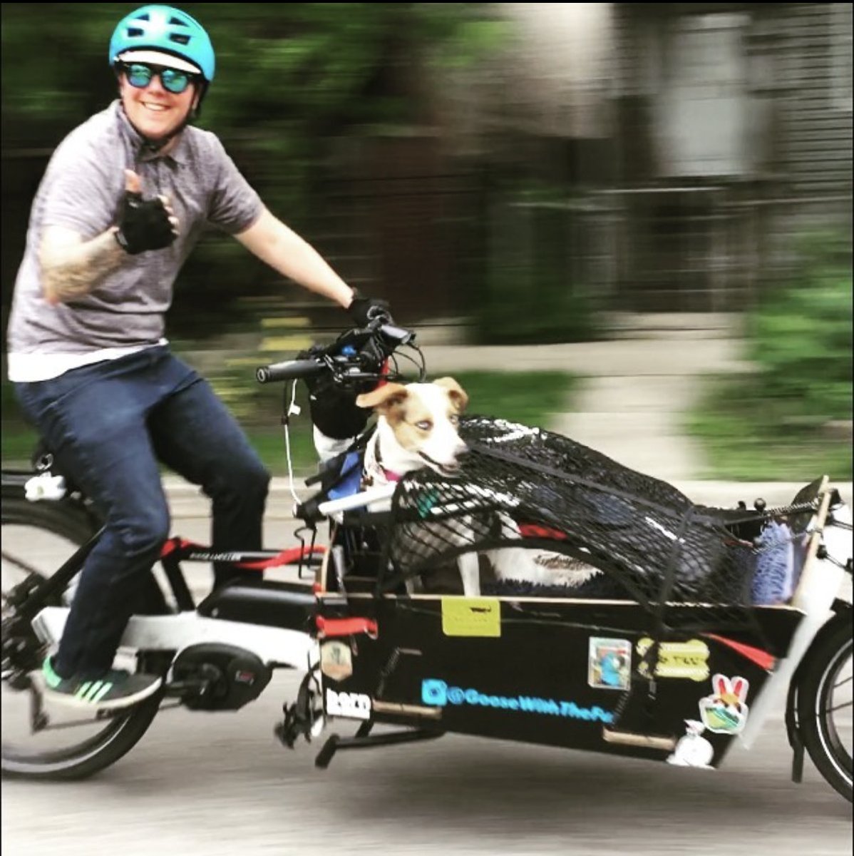 LenaGReynolds's tweet photo. @TheWarOnCars @Luke_Wanderer My partner runs their dog care business by e-cargo bike and is also a cargo bike specialist at @WheelSprocket. #Ebikes have changed our lives and freed us from Chicago traffic! #BikeChi @LilDudeBigBike https://t.co/Drc3vBQZqX