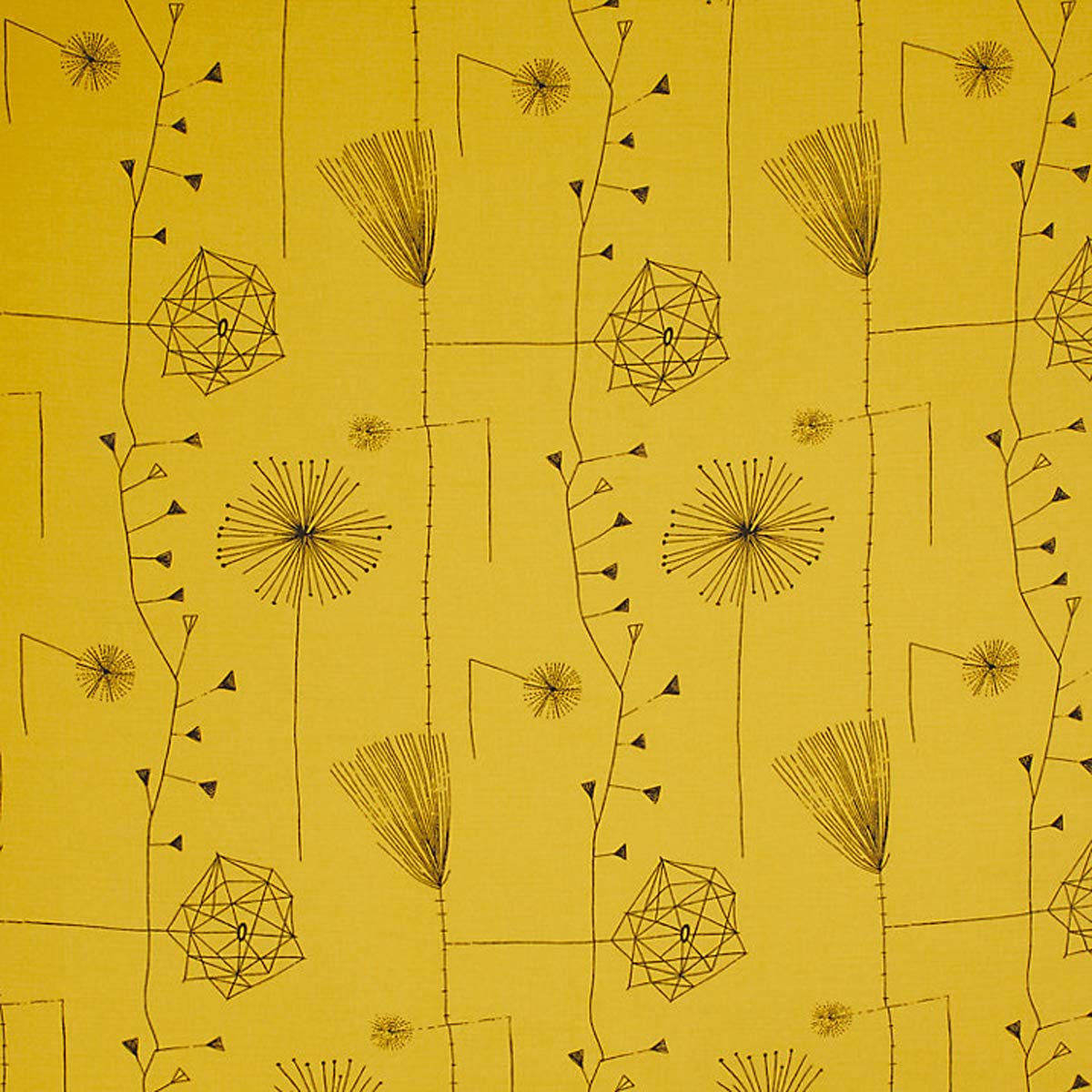 Robin & Lucienne Day tweet media