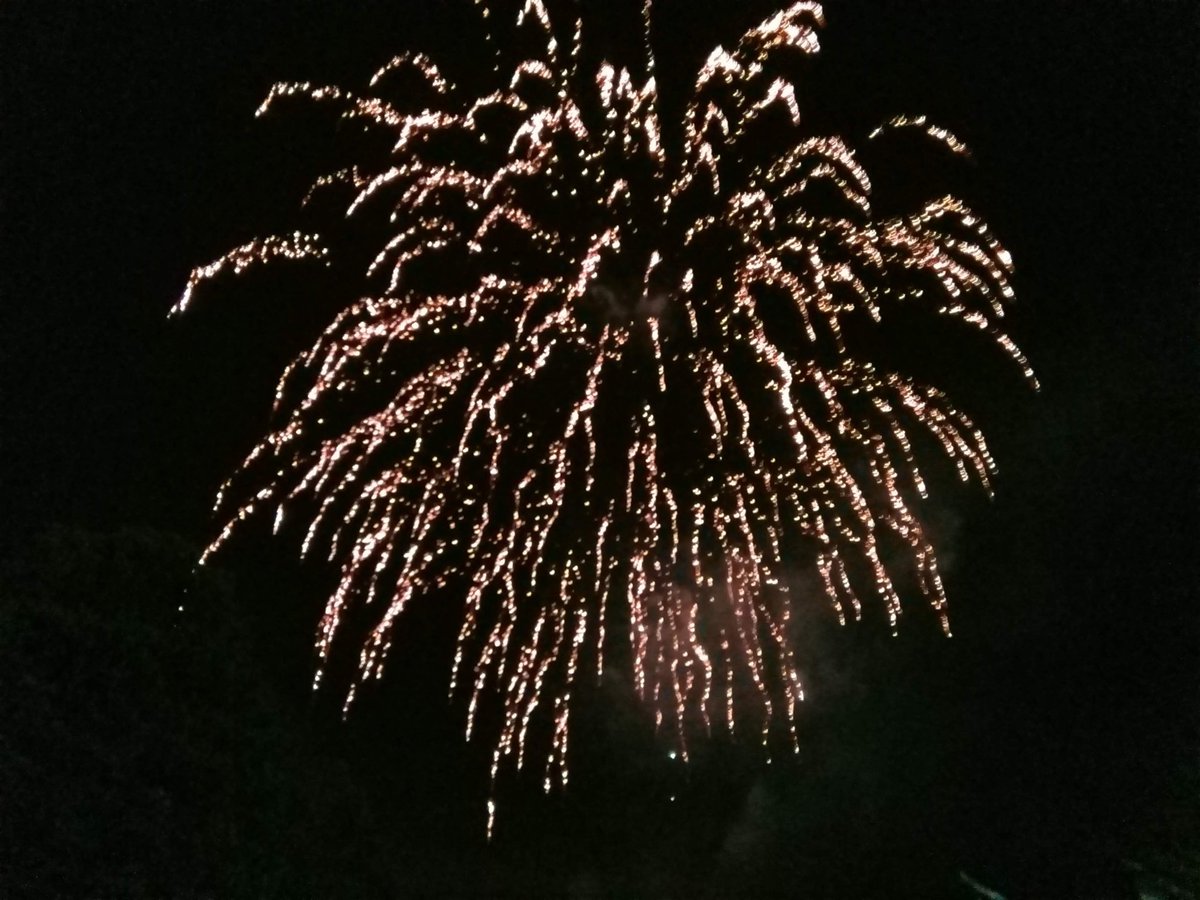 s4r4h_l's tweet photo. And the finale! ๐๐๐ #FreeFireworks #BonfireNight2020 #positivity #joy @ThePhotoHour @StormHour https://t.co/lqB4KMpUBf