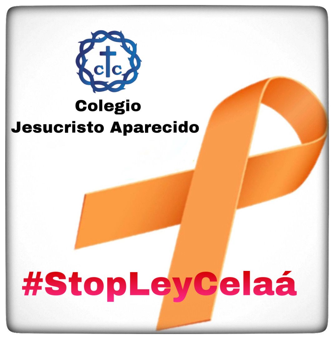 Colegio Jesucristo Aparecido tweet media